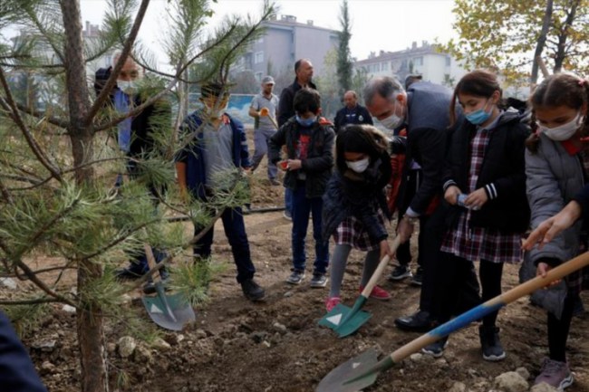 Bursa İnegöl'de 63 ağaç toprakla buluştu
