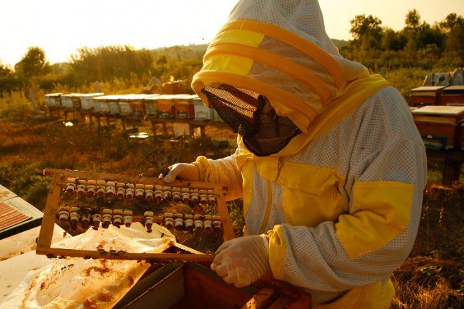 Sakarya'nın ödüllü projesinden 1 milyon 750 bin liralık katkı