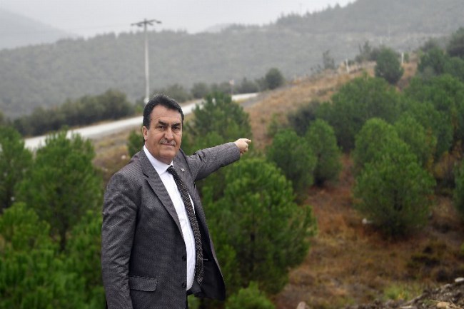 Bursa Osmangazi'de '1 Milyon Fidan' ormana dönüşüyor
