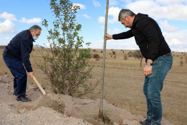 Kırsal mahalle girişlerinde ağaç seferberliği