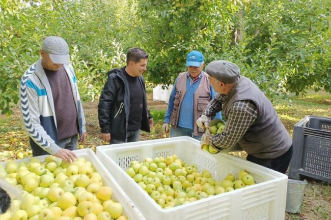 CHP'li Halıcı: "Yanlış tarım uygulamaları, üretimi olumsuz etkiledi"