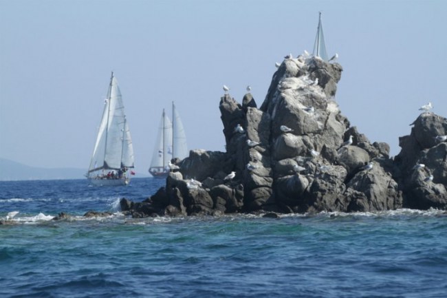 Muğla Bodrum'da yelkenler Çökertme'ye açıldı