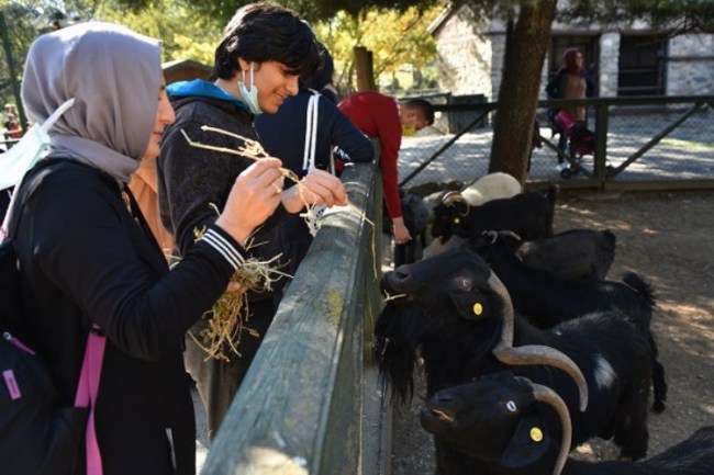Bursa Hayvanat Bahçesi'nin özel konukları