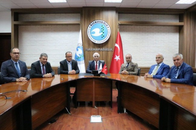 Marmarabirlik yeni sezon zeytin alım fiyatlarını açıkladı