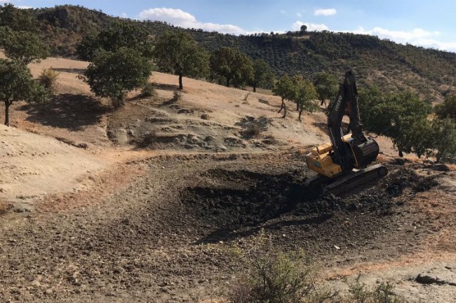 Manisa Kılavuzlar Göletleri'nde bakım zamanı