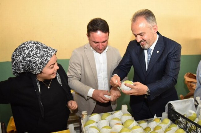 Bursa'da armut bahçelerinde hasat bereketi