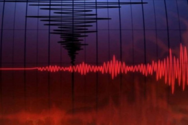 Tayvan 6,5 sallandı!