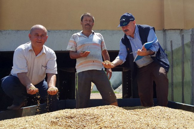 Kocaeli'de çiftçiye gübre ve tohum desteği