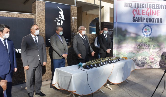 Kdz.Ereğli Belediyesi Osmanlı Çileği fidesi dağıtacak