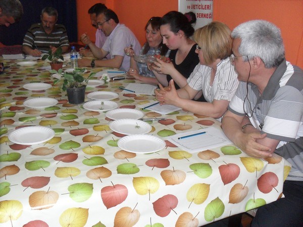 34 Osmanlı Çileği Üreticisi Yarıştı