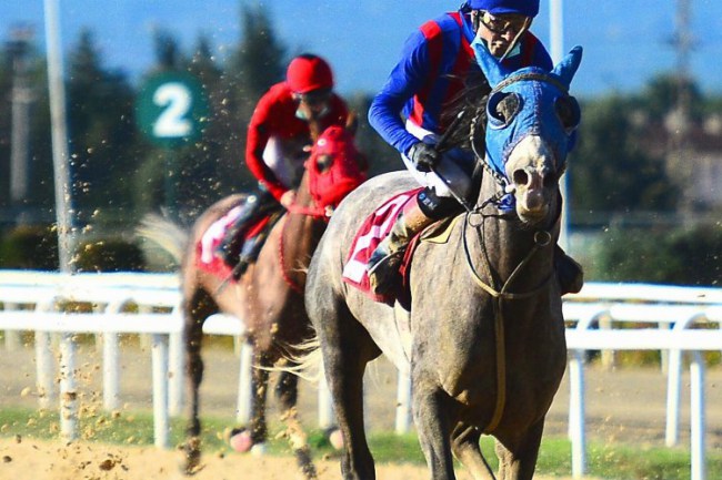 Bursa'da ASGD Koşusu'nu 'Soluki' kazandı