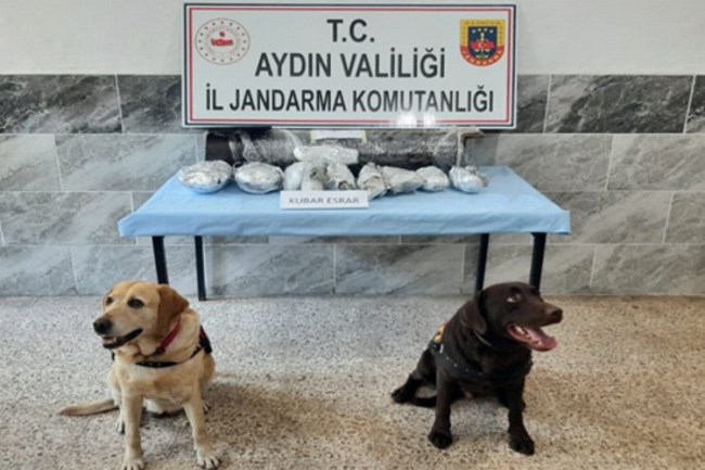 Aydın Jandarma Komutanlığı köpekleri 3,5 kg uyuşturucu yakaladı