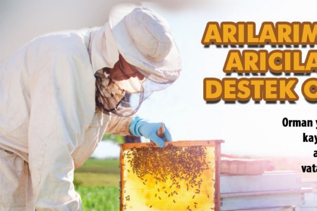 Muğla Büyükşehir, yangında zarar gören arıcılara destek oluyor