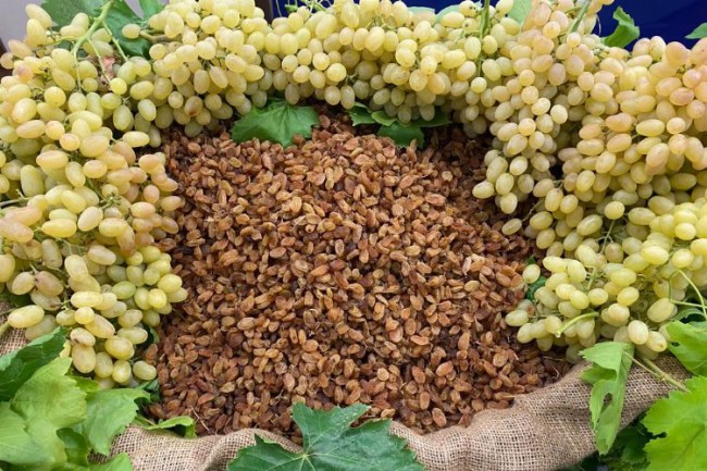 Kuru üzüm ihracatçıları satış için kolları sıvadı