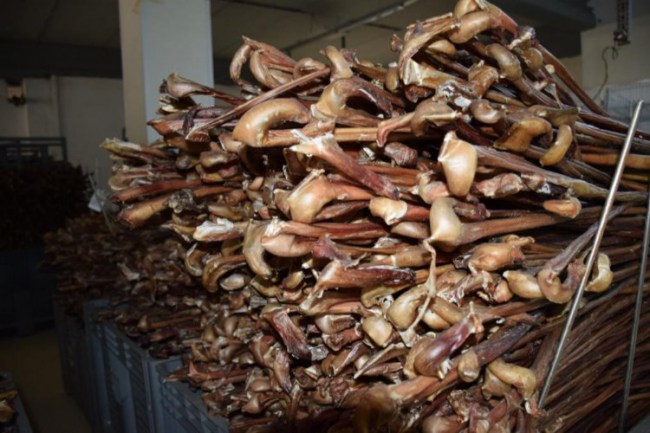 Yaptığı ödül mamalarıyla ekonomiye katkı sağlıyor