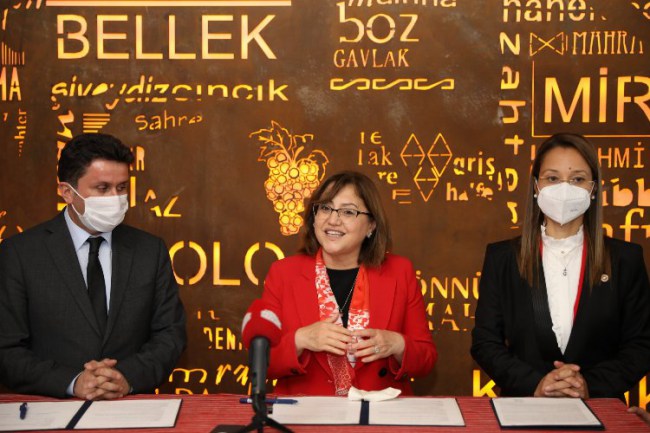 Gaziantep'te sokak hayvanları için barınak yapılacak