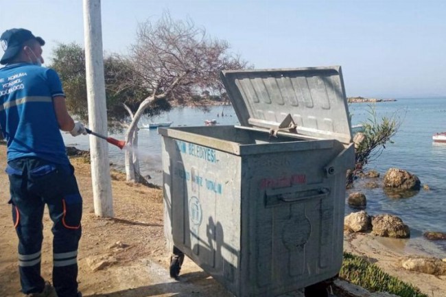 Aydın'ın Didim ilçesinde karasineklere karşı ilaçlama