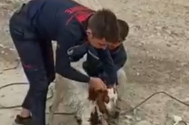 Kayseri itfaiyesinden keçi operasyonu