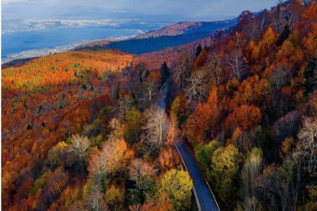 Kocaeli'nin 'Sisli Vadi' fotoğrafına beğeni yağmuru