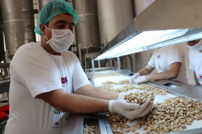 Siirt Fıstığı'na uluslararası ödül