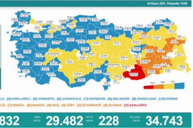 Günlük vaka sayısı