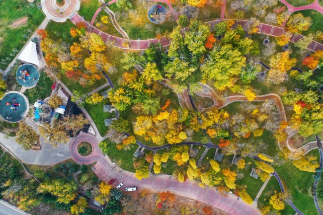 Aksaray Millet Bahçesi çalışmaları devam ediyor