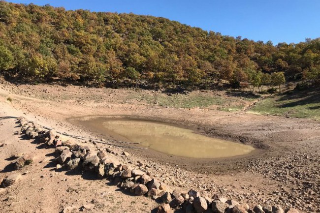 Manisa Demirci'de gölet temizliği yapıldı
