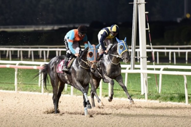 İzmir'de "Kitvak Koşusu" düzenlendi