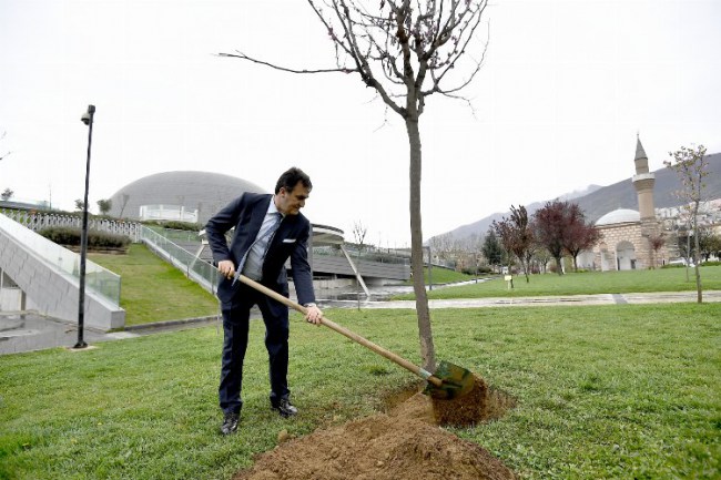 Bursa Osmangazi'de ağaçlandırma çalışması yapıldı