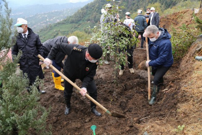 Tüm Türkiye'de olduğu gibi Rize'de de saat 11.11'de fidanlar dikildi