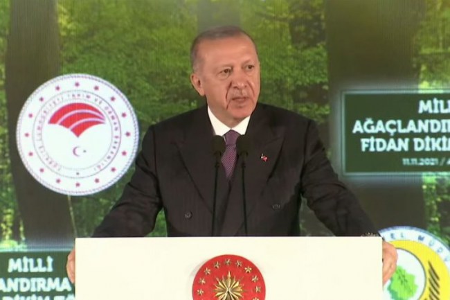 Erdoğan'dan '81 İle 81 Millet Ormanı' müjdesi
