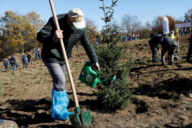 Bursa İnegöl Belediyesi, 1500 fidan ile geleceğe nefes oldu