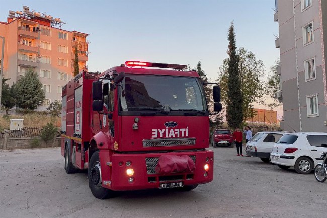 Adıyaman'da 3 kişi palmiye ağacını ateşe verdi
