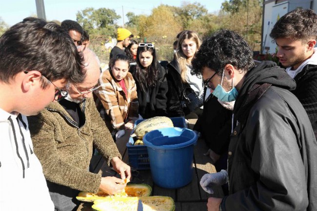 Bursa Nilüfer'de tohum alma atölyesi