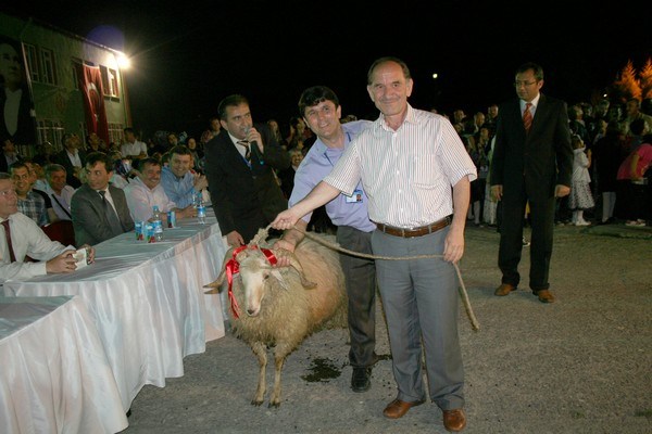 Alaplı'da okul yararına koç satışı