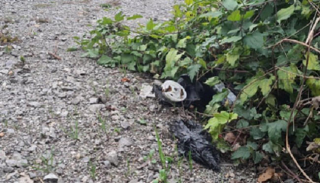 Zonguldak'ta plakasız araç, yayaya çarptı kaçtı