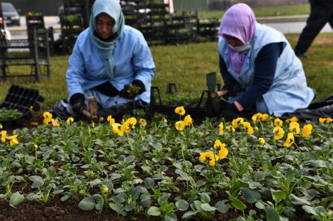 Bursa Osmangazi'de bahara hazırlık