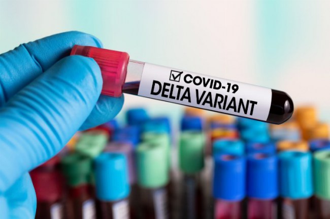 KKTC'de vakalarının yüzde 90'ı Delta kaynaklı