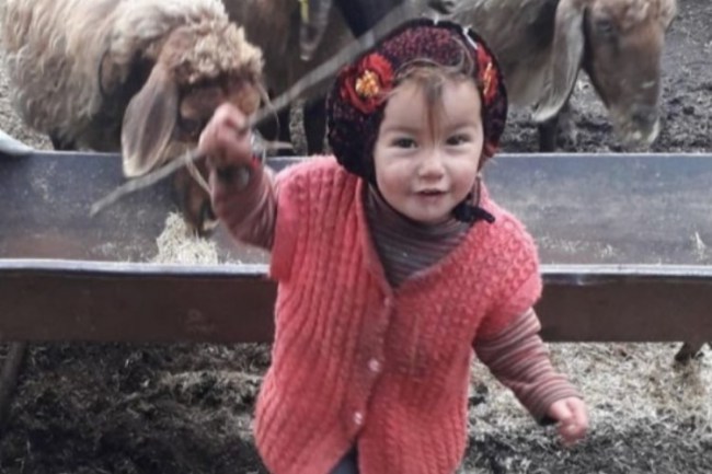 TDP'li Ceylan, Müslüme ile ilgili açıklama yaptı