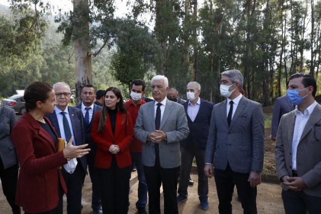 Muğla Marmaris'te bitki koleksiyon bahçesi kuruluyor