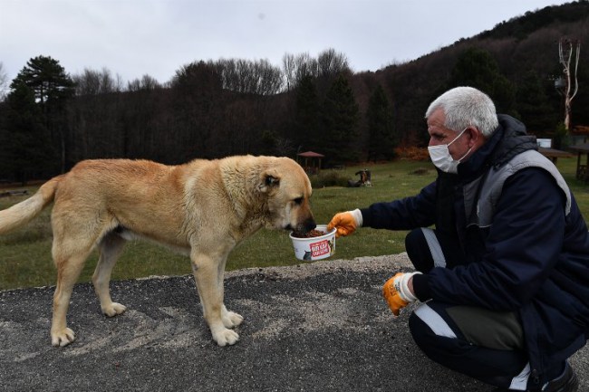 Bursa Osmangazi Belediyesi sokak hayvanlarını unutmadı
