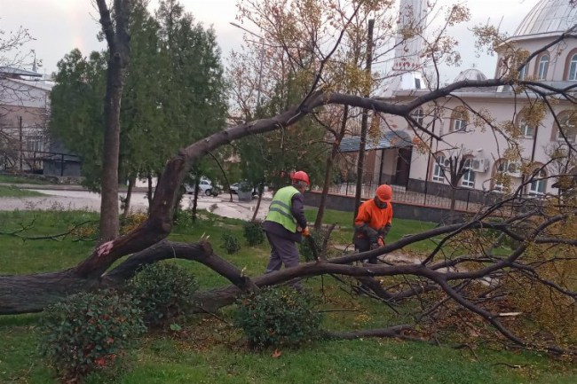 Bursa Yıldırım Belediyesi, lodosa karşı önlemini aldı