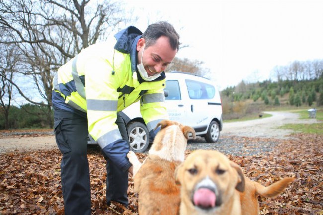 Sakarya'da okul tatil olunca yemekler sokak hayvanlarına götürüldü