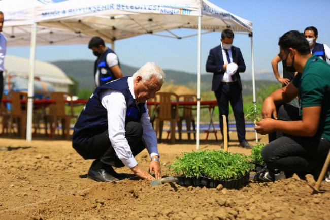 Muğla'da 13 bin 316 toprak, bitki ve su analizi yapıldı