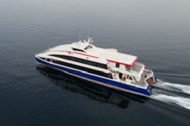 İDO ‘kağıtsız ofis' modeliyle ağaçları koruyor