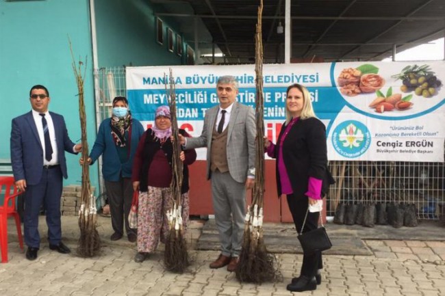 Manisa'da üreticiye 110 meyve fidanı