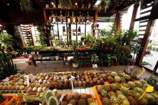 Sakarya BAHÇEM'i sevdi