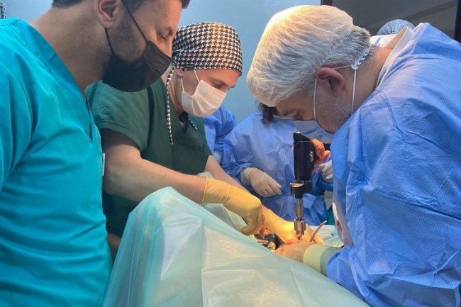 Kocaeli'nde sokak hayvanları tedavi ediliyor