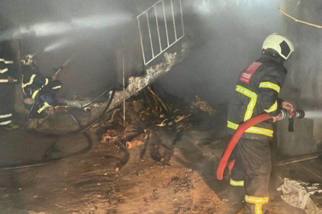 Adıyaman'daki yangında 2 büyükbaş hayvan telef oldu