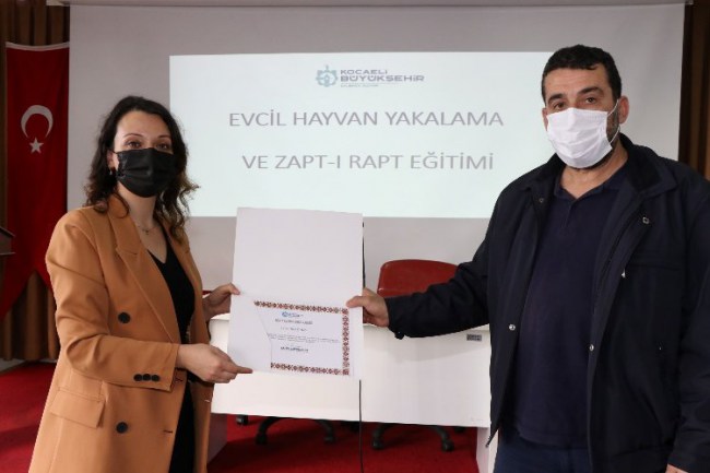 Kocaeli'nde sokak hayvanları için eğitim